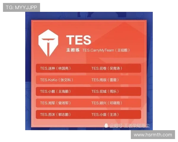 王者荣耀战术分析：深入探讨WE战队的区域防守策略与执行效果